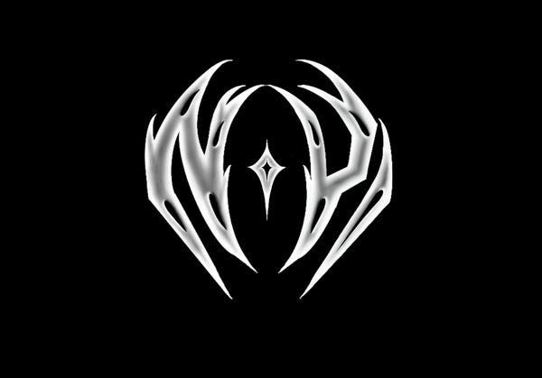 NDVR streetwear logo